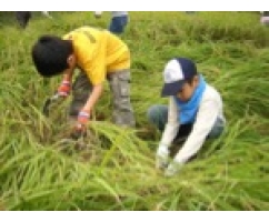 第4期 2005年9月~2007年3月