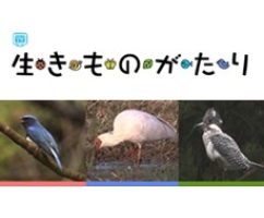 第10期 2012年4月~2013年3月