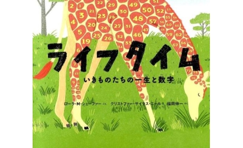 ライフタイム　いきものたちの一生と数字