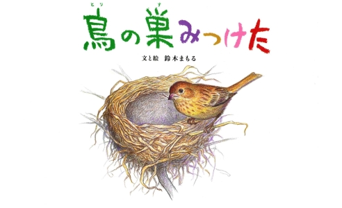 鳥の巣みつけた