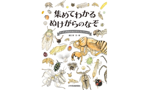集めてわかるぬけがらのなぞ　ゲッチョ先生のぬけがらコレクション