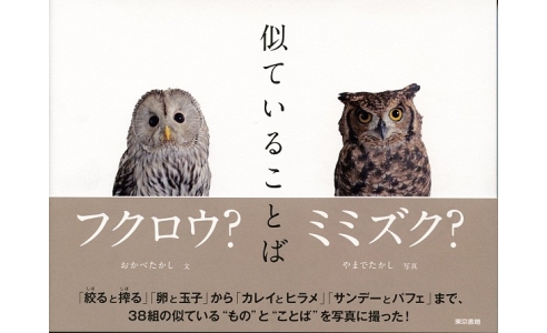 似ていることば