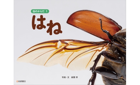 虫のからだ1 はね