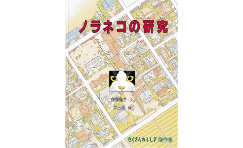 ノラネコの研究