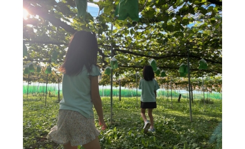家事と子育てと仕事と夫婦関係の四立 ~新潟での気付き~
