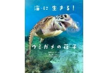 海に生きる!ウミガメの花子