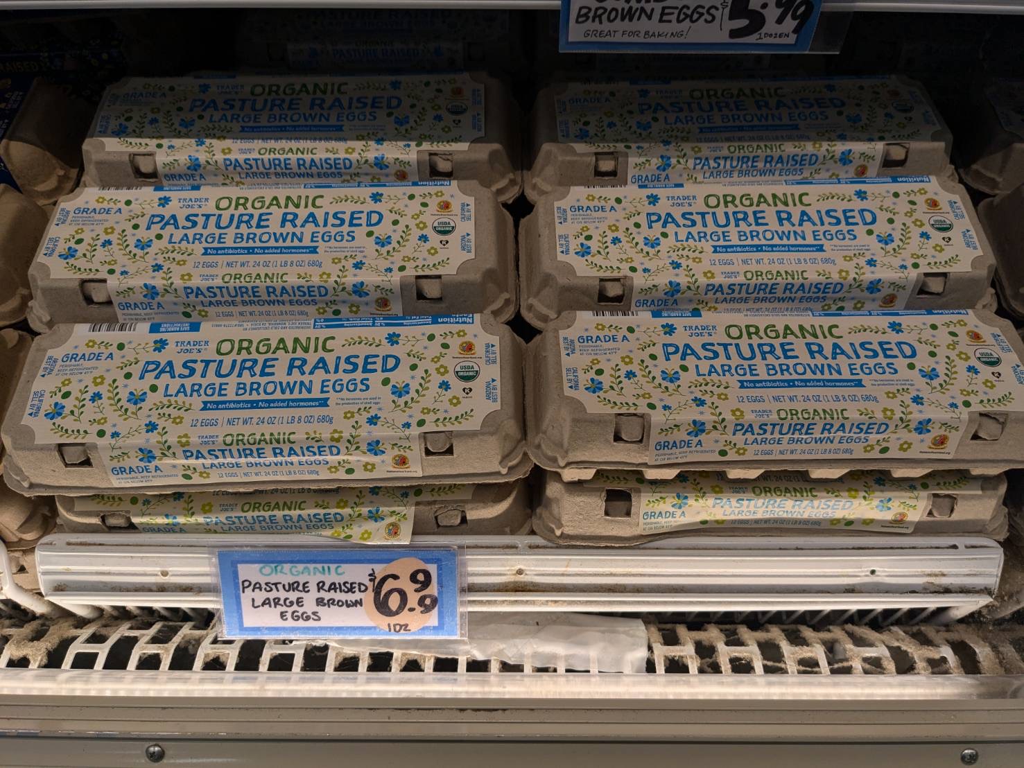 卵から考えるアニマルウェルフェア