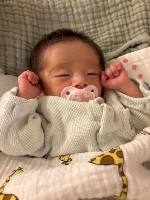 子ども３人＋ワン